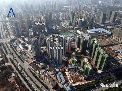 衡阳楼市最新爆料,最新爆料揭示市场新动向